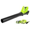 GreenWorks 2400802 40-Volt 390-Cfm 2.5Ah Durable Cordless Axial Leaf Blower Kit Lawn & Outdoor Power