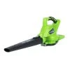 GreenWorks 24312VT 40-Volt 185-Mph Cordless Digipro Blower/Vac - Bare Tool 1 GreenWorks 24312VT 40-Volt 185-Mph Cordless Digipro Blower/Vac - Bare Tool