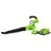 Lawn & Outdoor Power GreenWorks 24352 24V 130-Mph Adjustable Dual-Speed Cordless Leaf Blower Kit
