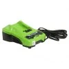 Tools & Equipment Greenworks 2938202 CAF806 24V Cordless Lithium-Ion Efficient Battery Charger