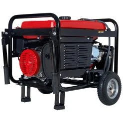 Dual Fuel Generators DuroStar DS5500EH 5500-Watt Electric Start Dual Fuel Portable Generator