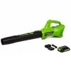 Lawn & Outdoor Power GreenWorks Commercial 24B315 24V 315 CFM Cordless Brushless Leaf Blower Kit
