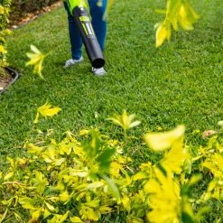 Lawn & Outdoor Power GreenWorks Commercial 24B315 24V 315 CFM Cordless Brushless Leaf Blower Kit