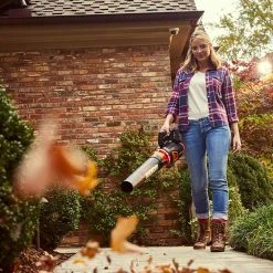 Lawn & Outdoor Power Worx WG584 40 Volt 95 Mph 470 Cfm Power Share Brushless Turbine Leaf Blower Kit